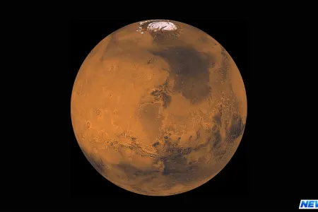 Mars torpağının satışına başlanılıb- Kilosu neçəyədir?