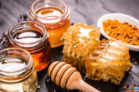 Bakıda bal yarmarkasına çıxarılacaq 30 ton məhsul yararsılz çıxdı