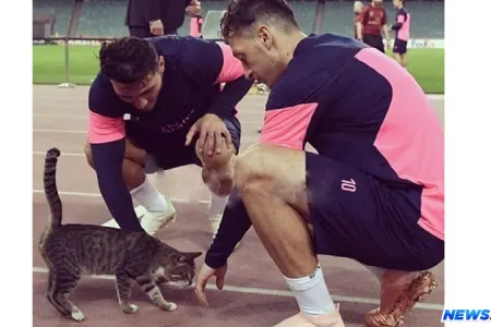 Mesut Özillə fotosu olan pişik 4250 manata satılır