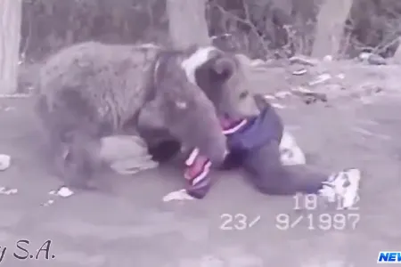 Həbibin uşaq vaxtı ayı ilə güləş VİDEOSU yayıldı