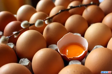 Ölkədə niyə yumurta qıtlığı yaranıb?