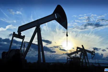 Hindistan xaricdən aldığı neftin dəyərini rupi ilə ödəmək istəyir