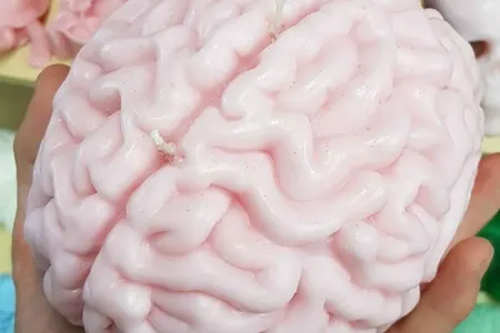 Beyninizin necə işlədiyini bilirsiniz? - HEYRƏTAMİZ FAKTLAR