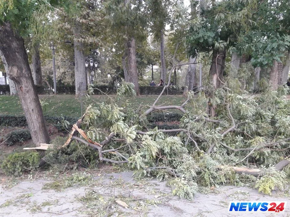 Külək Bakıda fəsad törətdi