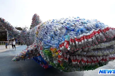 Birdəfəlik plastik qablara qadağa qoyuldu