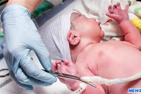 Azərbaycanda doğulan körpələrdən göbək qanı niyə yığılmır?– Ağır xəstəliklərdən xilas metodu Kriobankla bağlı ARAŞDIRMA