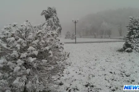 Daşkəsən və Gədəbəyə ilk qar yağıb