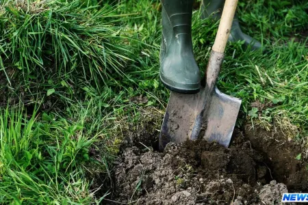 Azərbaycanda gənc qadın anası ilə əlbir olaraq körpəsini öldürüb və basdırıb