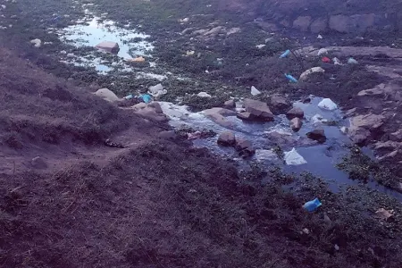 Gədəbəydə kombinat direktoru cərimələnib