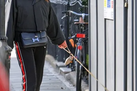 Bədxərc Zamirənin yeni görüntüləri yayıldı