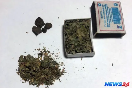 Rusiyadan Azərbaycana narkotik vasitələr gətirən şəxs saxlanılıb