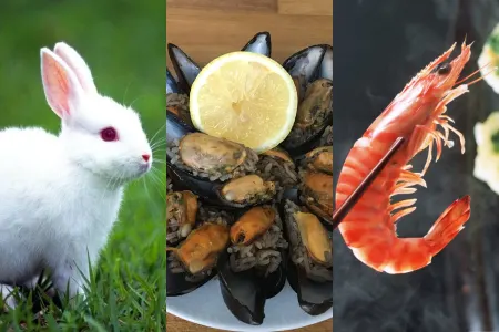 Bu heyvanların əti insan orqanizminə zərərlidir – SİYAHI