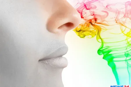 İnternetlə qoxu ötürən qurğu yaradılıb