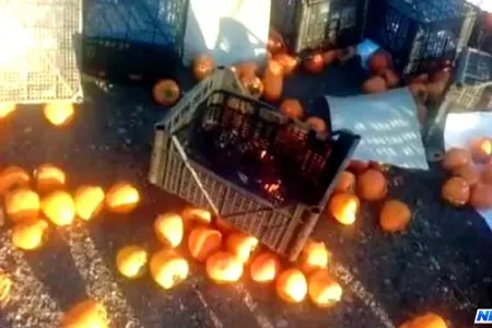 Bakı-Quba yolunda maşın aşdı: 20 ton xurma yerə töküldü – Fotolar