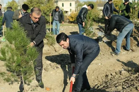 Dövlət Bayrağı günü münasibətilə Gəncədə ağacəkmə aksiyası keçirilib