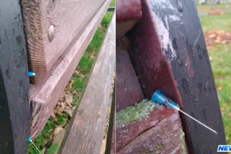 DİN-dən oturacaqlara bərkidilmiş qanlı iynə açıqlaması