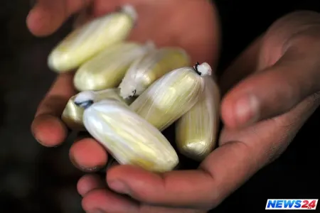 Azərbaycan vətəndaşının daxili orqanında narkotik vasitə aşkarlanıb