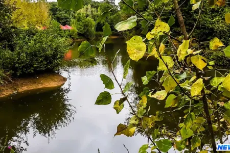 Sabah Lənkərana içməli suyun verilməsi məhdudlaşdırılacaq