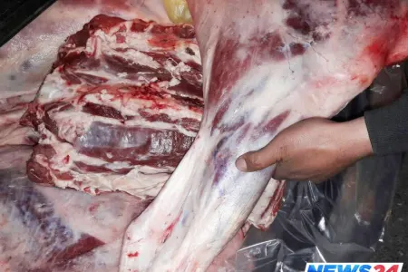 Göyçayda keçirilən reyddə, mənşəyi məlum olmayan 500 kiloqram ət aşkarlanıb