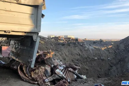 Bakıda 2 ton yarım ət məhv edildi - FOTO
