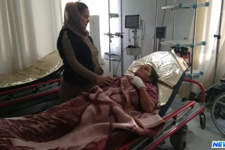 Azərbaycanda ŞOK HADİSƏ: yırtıcılar 4 nəfəri parçaladı - FOTO