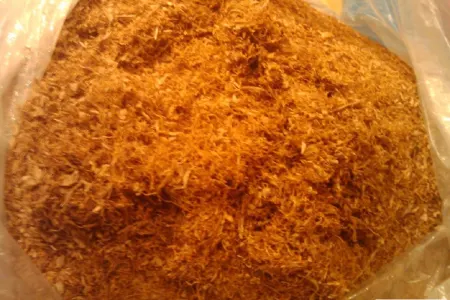 İki rayonda yetkinlik yaşına çatmayanlara tütün məmulatı satanlar cərimələniblər