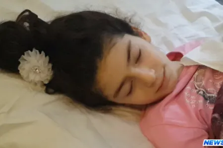 Sumqayıtda aşan ağacın altında qalan məktəbli qız ağır xəsrət alıb