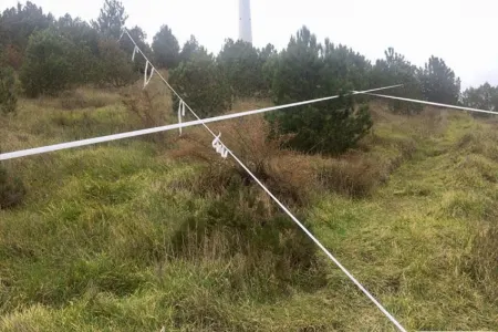 Bakıda bəzi sürüşmə əraziləri aktivləşib