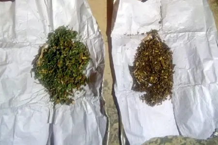 Gürcüstandan Azərbaycana narkotik vasitənin gətirilməsinin qarşısı alınıb