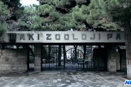 Bakı zooparkı 90 yaşında