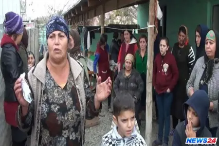 Yevlaxda qadını əri qoyunlara görə öldürdü - TƏFƏRRÜAT