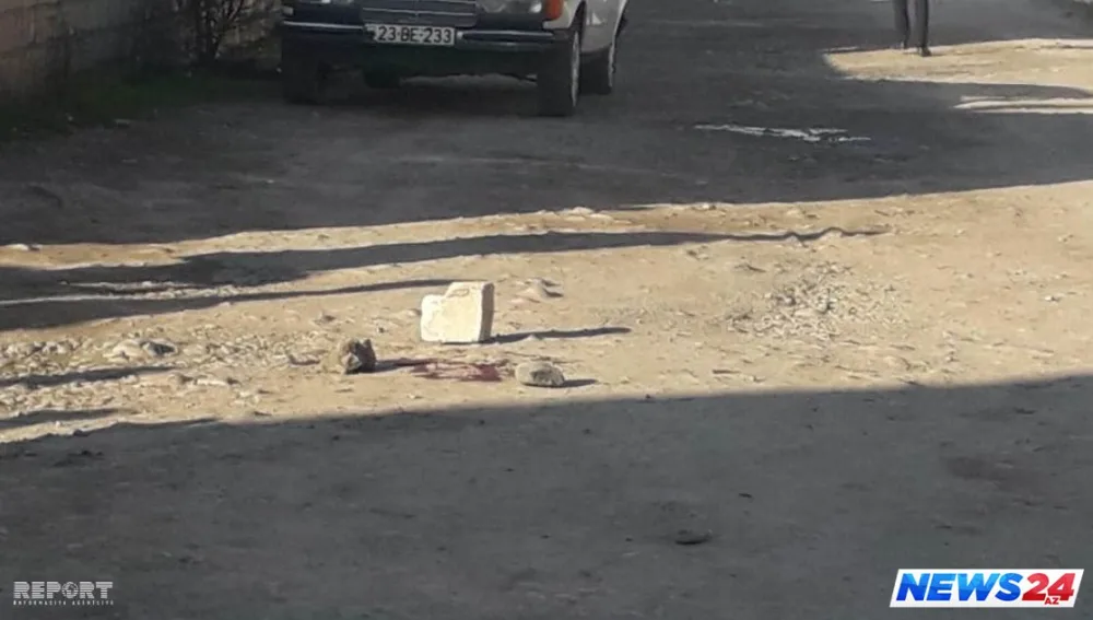 Azərbaycanda dəhşət: Oğul anasını küçənin ortasında bıçaqladı