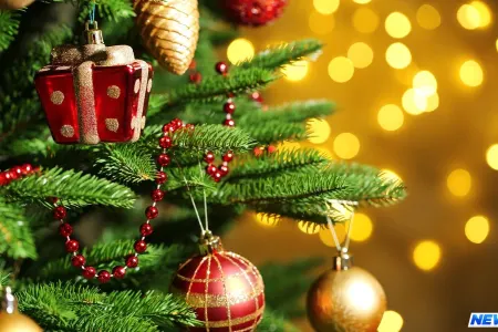 Bakıda 3 min manata yolka satılır - VİDEO