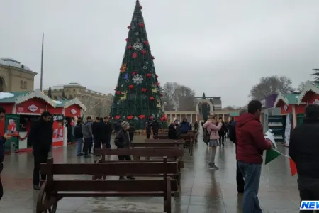 Gəncə Yeni ili qarşılamağa hazırlaşır