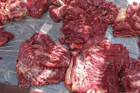 Bərdədə mənşəyi məlum olmayan 686 kiloqram at əti aşkarlanıb