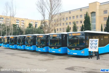 Bakıda bu marşrut xəttinə 20 yeni avtobus verildi - FOTO
