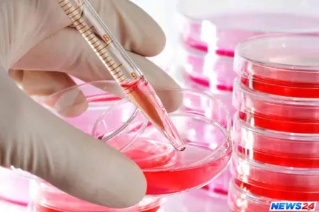 Bu il Azərbaycanda talassemiyalı 55 cütlük aşkarlanıb