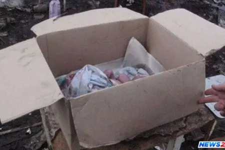 Azərbaycanda şok: “Ağzı bağlı torbanın içində zibillikdə uşaq meyiti tapıldı…” - Video