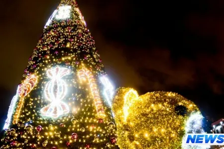 Bakıda qurulan yolka MDB ölkələri arasında 2-ci yer tutub