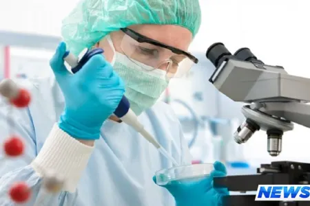 Gürcüstanda 6 nəfər “donuz qripi”ndən ölüb