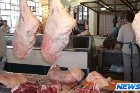 Bakıda qanunsuz ət kəsilən yerlər açıqlandı