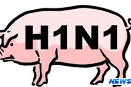 Ermənistanda 10 nəfərdə “donuz qripi” aşkar edilib