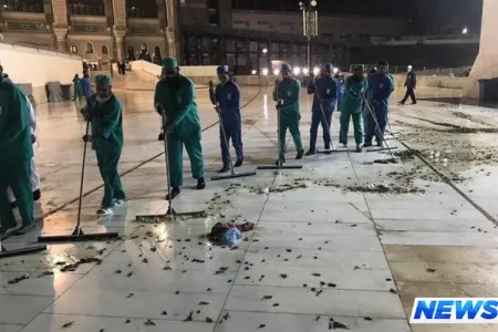 Minlərlə tarakan və çəyirtkə Məkkəyə hücum etdi - Dövlət qurumları hərəkətə keçdi - VİDEO