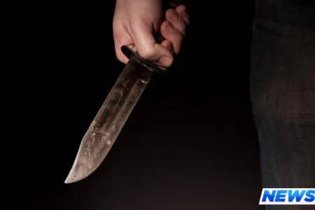 Bakıda qayınanasını qətlə yetirib, həyat yoldaşını ağır yaralayan şəxs məhkəmədə ifadə verib