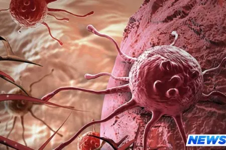 Məşhur alim xərçəng xəstəliyinin əsas 7 simptomunu AÇIQLADI