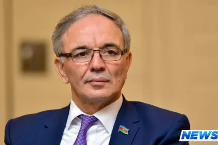 Əflatun Amaşov: “Kitabların oxunması məcburiləşdirilməlidir”