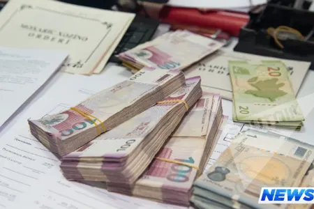 “Qaçqınkom” ölmüş adama müavinət yazıb - PALATANIN HESABATI