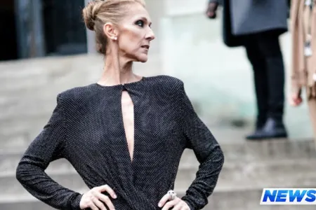 Dünyaca məşhur müğənni tanınmaz halda - FOTOLAR