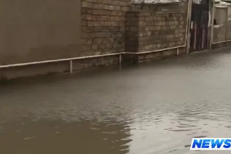 Yeni Ramana Venesiyanı xatırlatdı - VİDEO