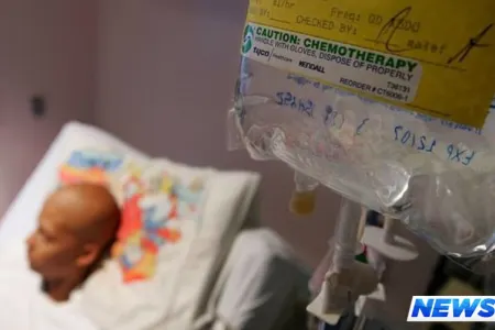 Azərbaycanda “xərçəng kabusu” - İNFOQRAFİKA